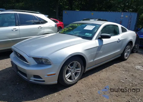 2013 Ford Mustang V6 z USA, uszkodzony, nr VIN 1ZVBP8AM5D5218722